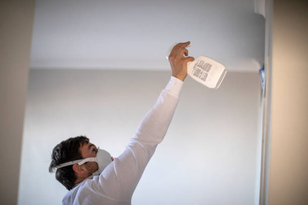 Best Residential Mold Remediation in Westvle, IL