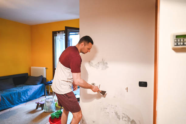 Best DIY Mold Remediation Support Services in Westvle, IL